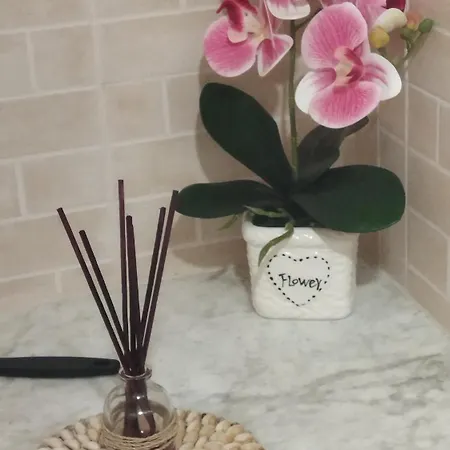 Alguerita - Bilocale Centro Storico * 阿尔盖罗